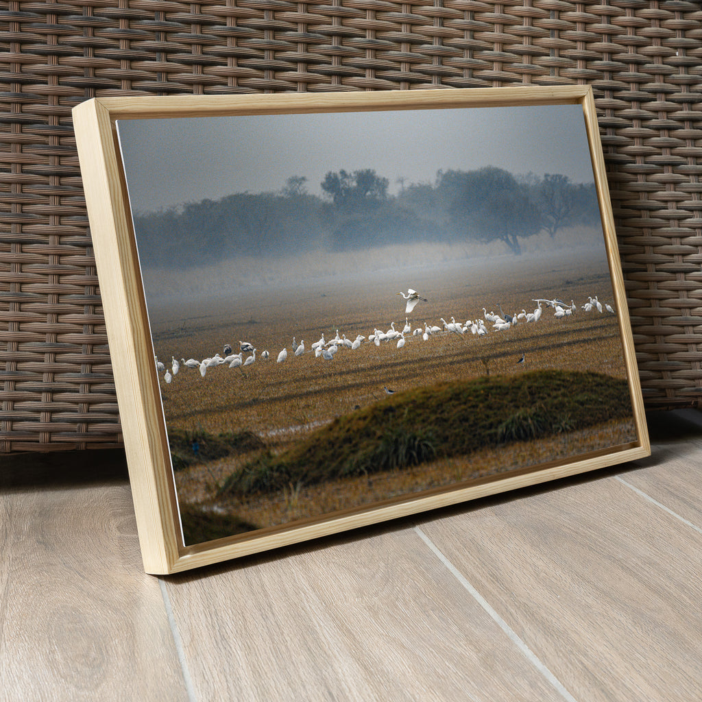 Bharatpur Bird Sanctuary — The One That Flew, Winter Wildlife Fine Art Print