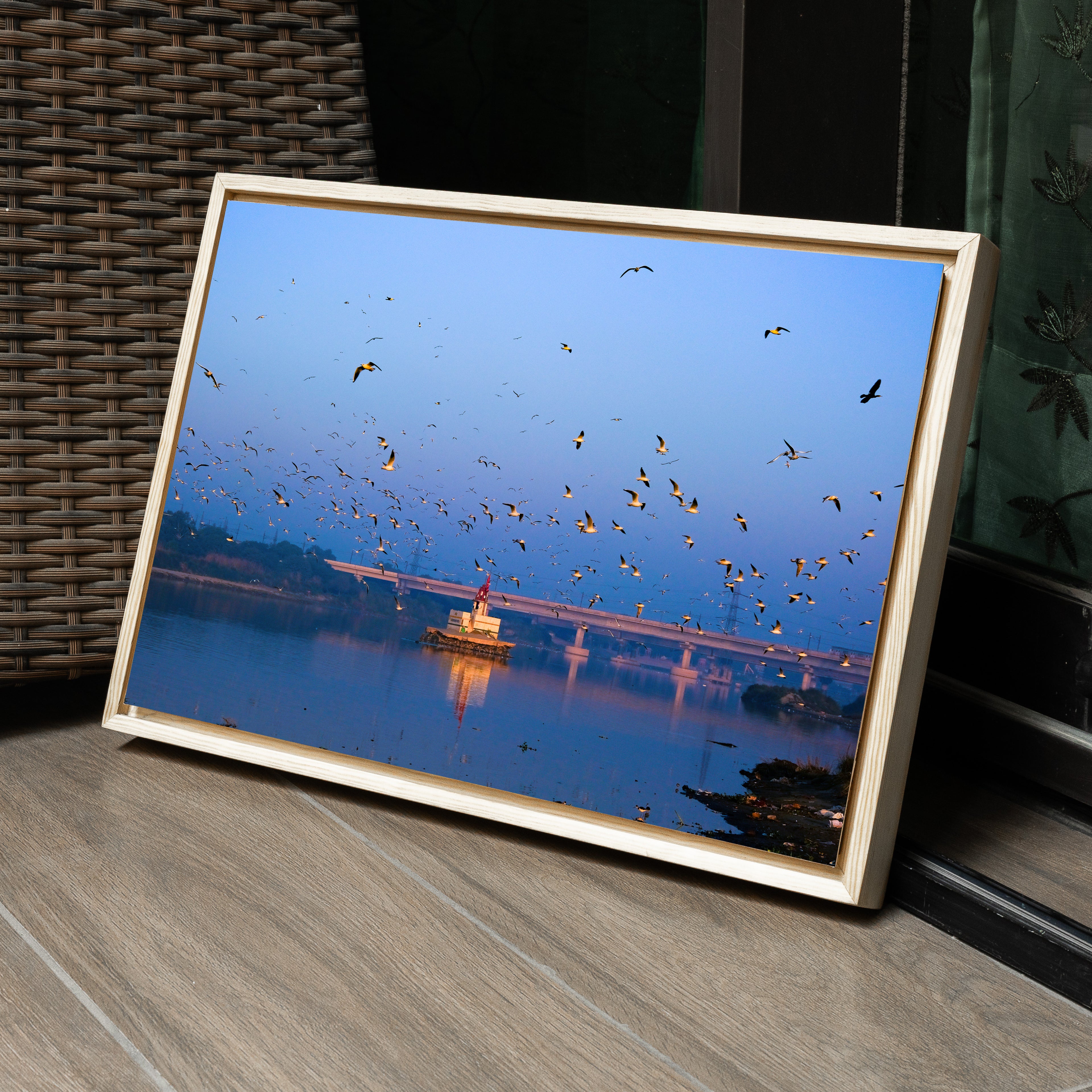 Yamuna Ghats — Seagulls at Winter Sunrise