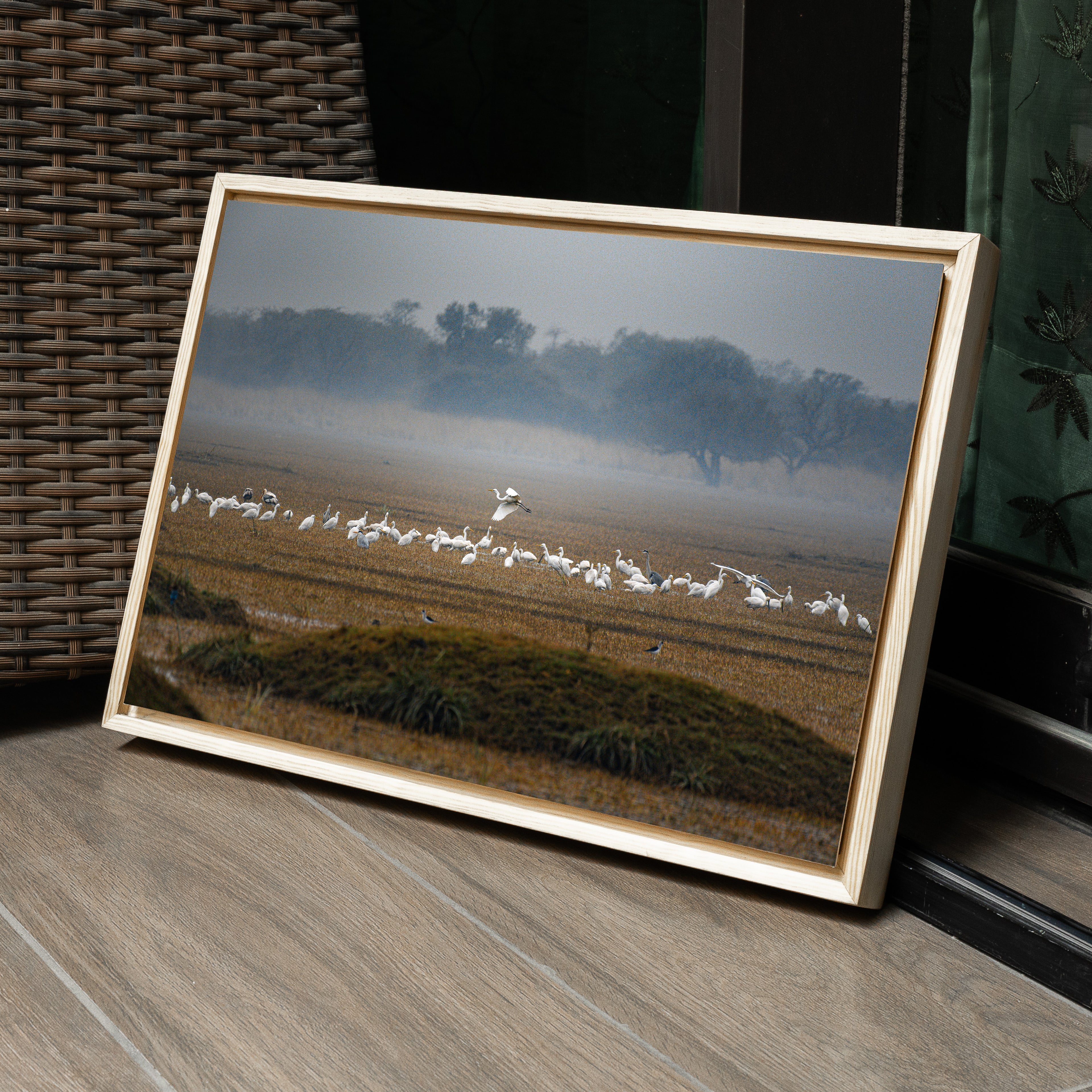 Bharatpur Bird Sanctuary — The One That Flew, Winter Wildlife Fine Art Print