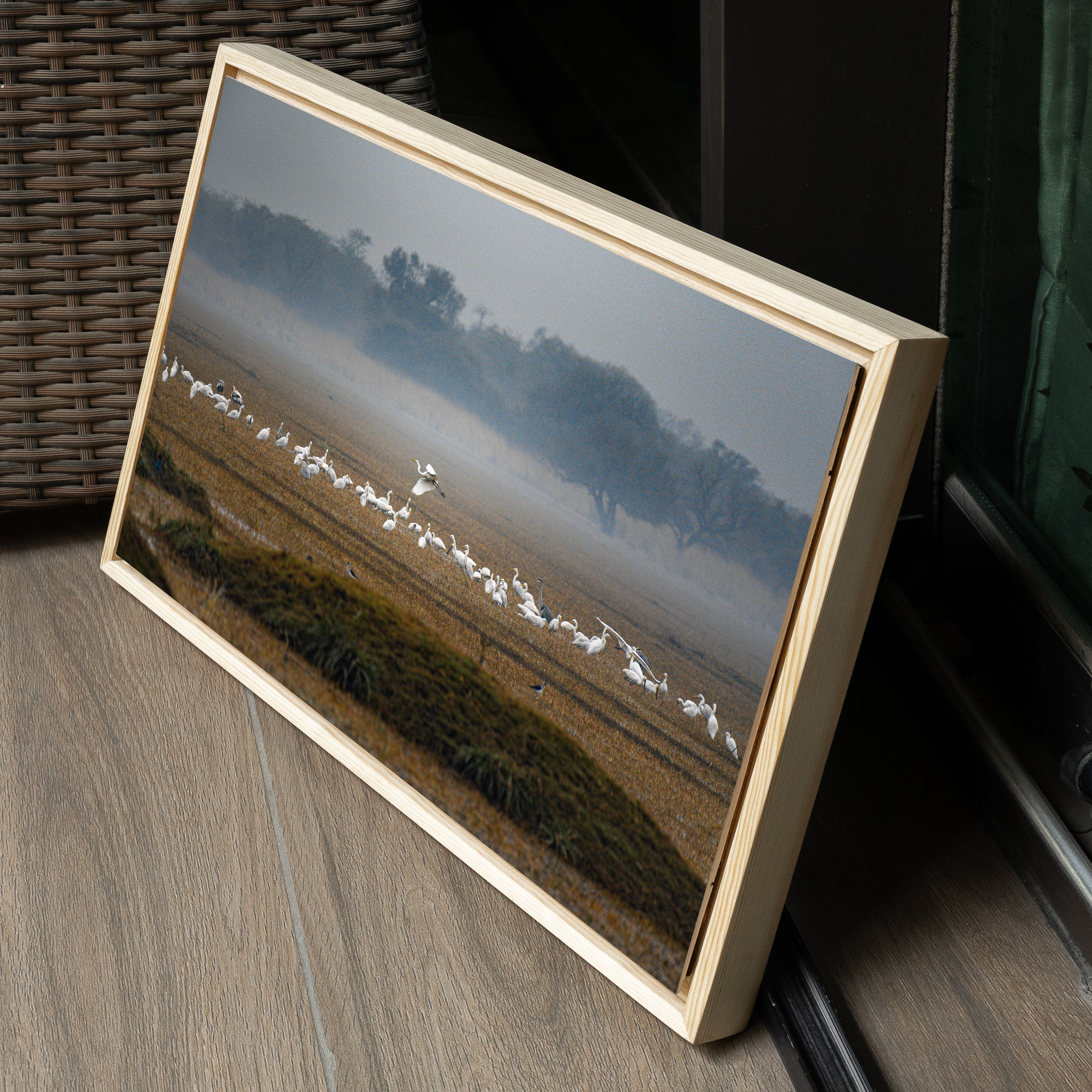 Bharatpur Bird Sanctuary — The One That Flew, Winter Wildlife Fine Art Print